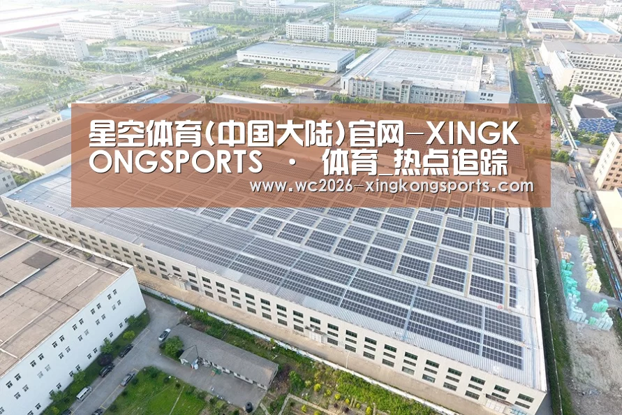 案例展示二