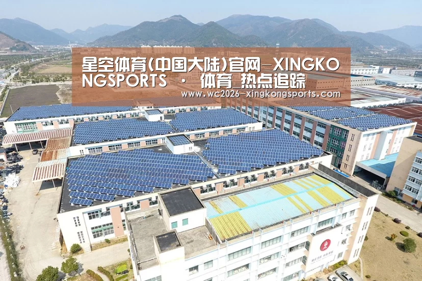 案例展示一