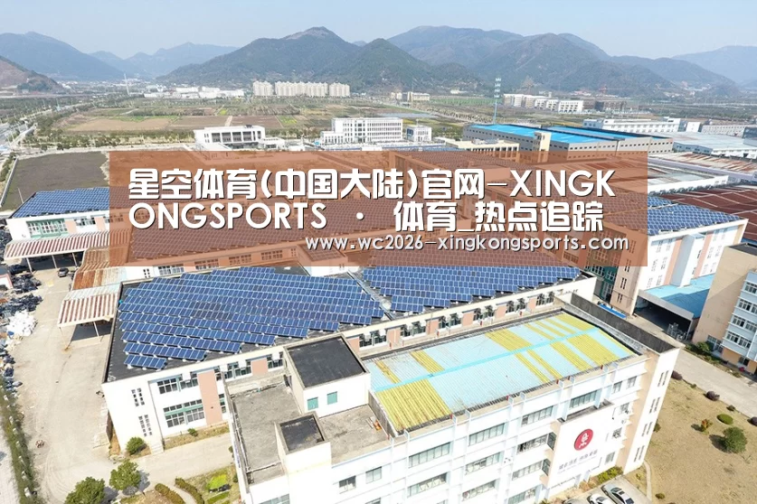 案例展示四