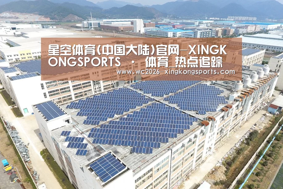案例展示四