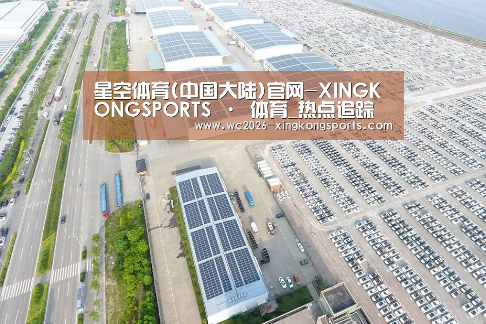 案例展示一