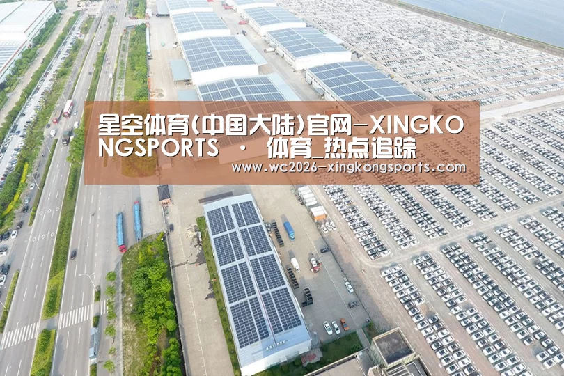 案例展示四