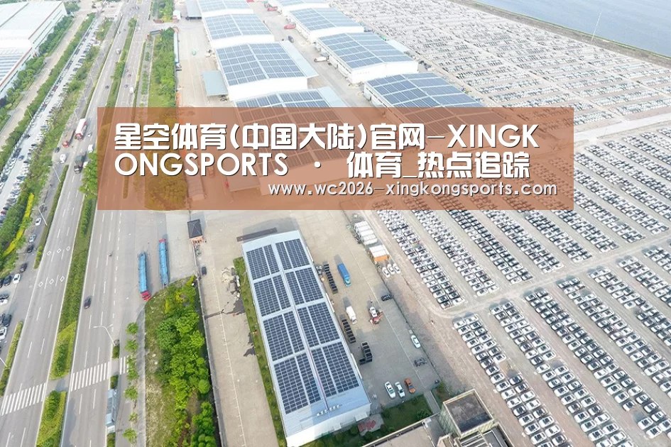 案例展示二
