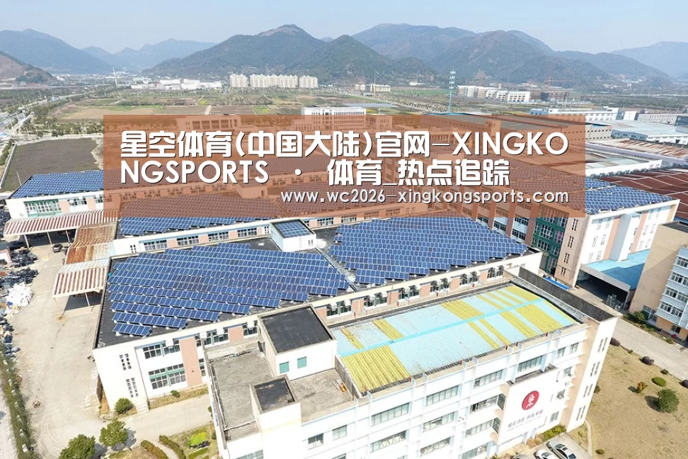 案例展示三