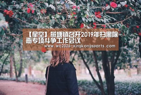 【星空】燕塘镇召开2019年扫黑除恶专项