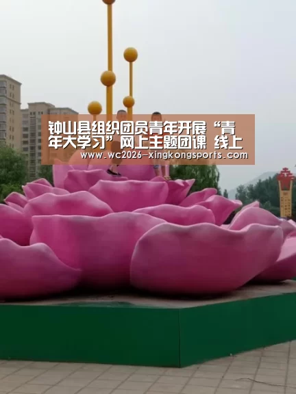 钟山县组织团员青年开展“青年大学习”网上